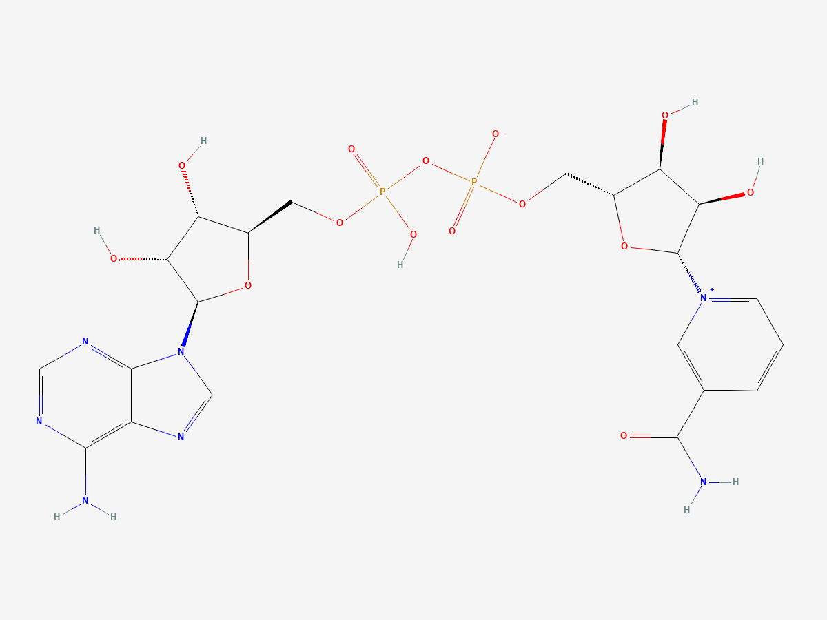 2D reference molecular structure of NAD+, PubChem CID 5892